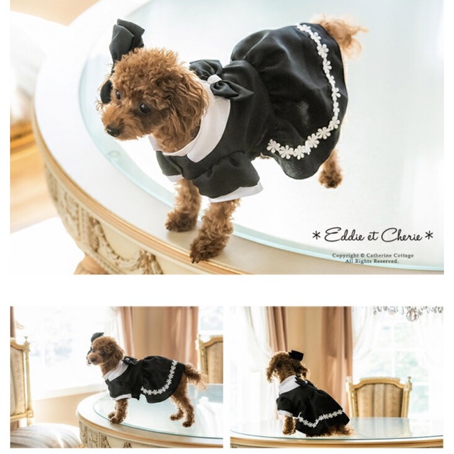 ❤️おすすめ❤️犬 ドッグ 洋服 メイド ドレス エディーエシェリー ワンピース ハンドメイドのペット(ペット服/アクセサリー)の商品写真