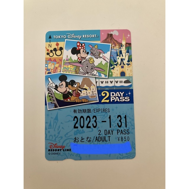 Disney(ディズニー)のディズニーリゾートライン 2Dayパス チケットの施設利用券(遊園地/テーマパーク)の商品写真