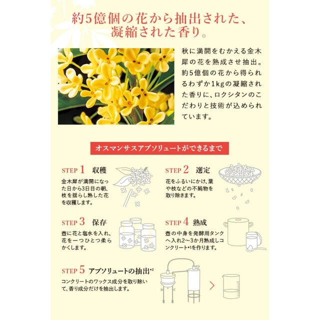 L'OCCITANE(ロクシタン)の【国内完売品！】 L''OCCITANE オスマンサス オードトワレ 限定品 コスメ/美容の香水(香水(女性用))の商品写真