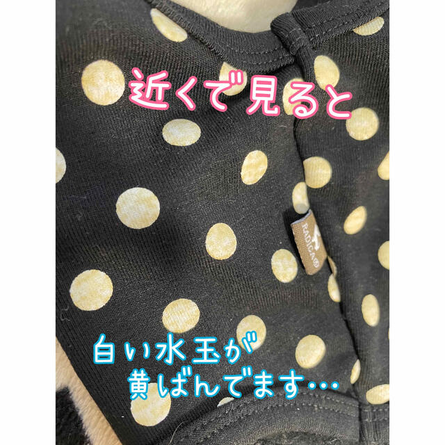ラディカ　小型犬用パーカー　Lサイズ その他のペット用品(犬)の商品写真