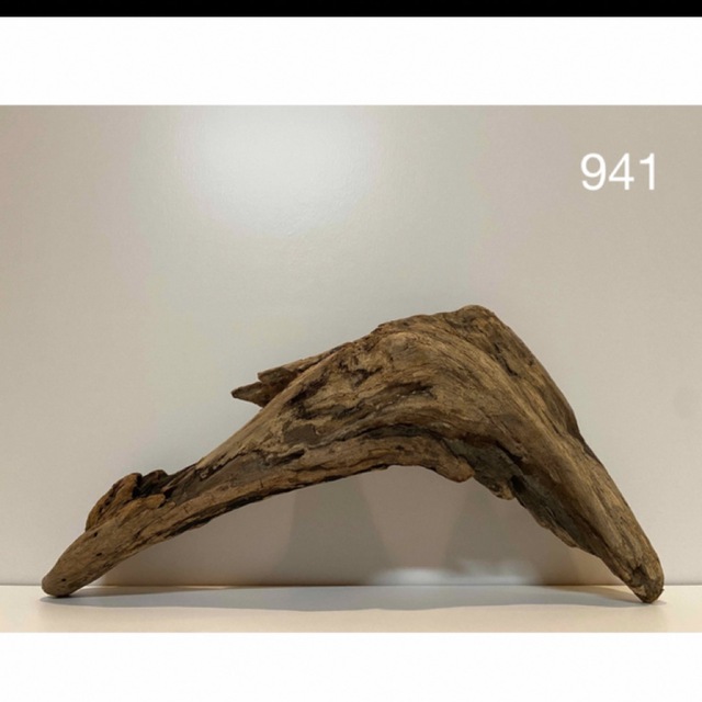 流木【819】 | achusalud.com