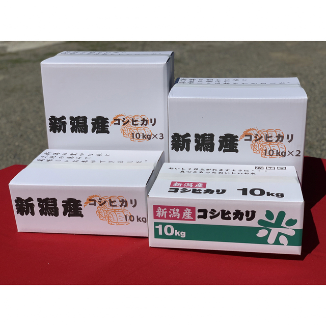 新米・令和4年産新潟コシヒカリ★色彩選別済白米10㌔×3袋★農家まかない用19 食品/飲料/酒の食品(米/穀物)の商品写真