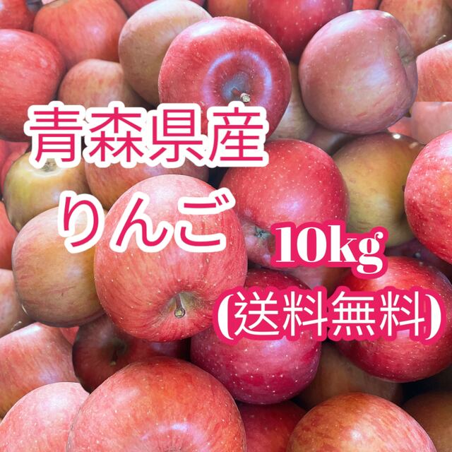 産地直送  加工用りんご  10kg  送料無料 食品/飲料/酒の食品(フルーツ)の商品写真