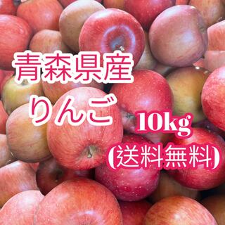 産地直送  加工用りんご  10kg  送料無料(フルーツ)
