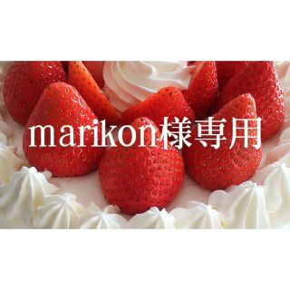 marikon様専用 ガラス細工４点(ガラス)