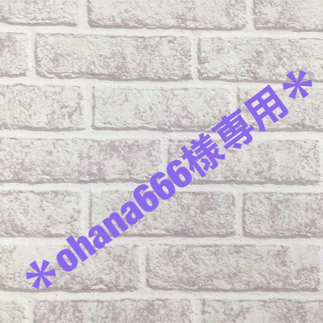 ohana666様専用☆ペットボトルポーチ★2点　　dカン無し ハンドメイドのキッズ/ベビー(外出用品)の商品写真