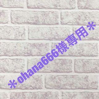 ohana666様専用☆ペットボトルポーチ★2点　　dカン無し(外出用品)