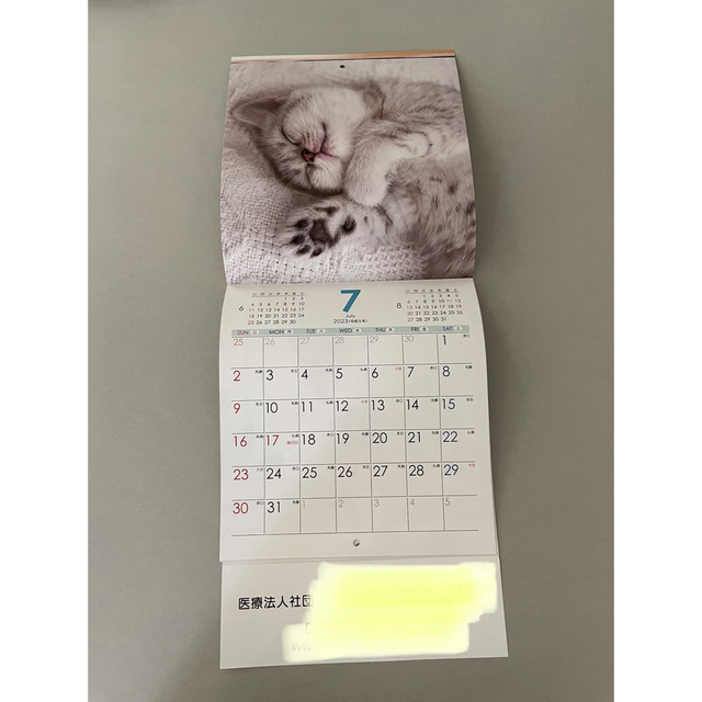 2023 壁掛けカレンダー　猫 インテリア/住まい/日用品の文房具(カレンダー/スケジュール)の商品写真