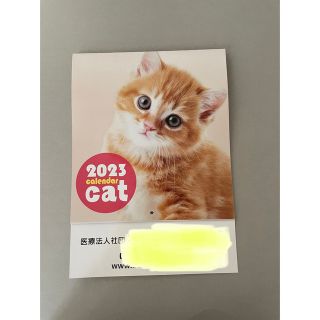 2023 壁掛けカレンダー　猫(カレンダー/スケジュール)