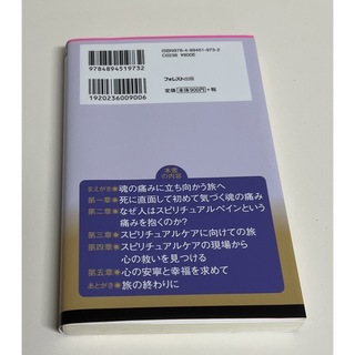 こころの終末期医療 スピリチュアルペインを乗り越えて(健康/医学)