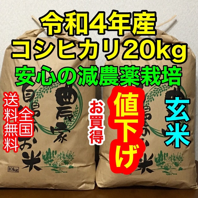 新米コシヒカリ20kg茨城県産◉玄米