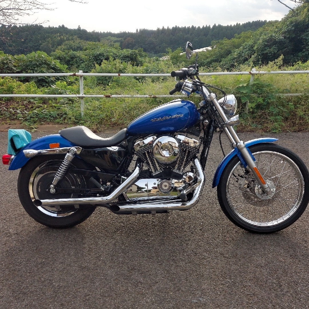 Harley Davidson - ハーレーXL1200cカスタム 車検令6年4月 年式2007年