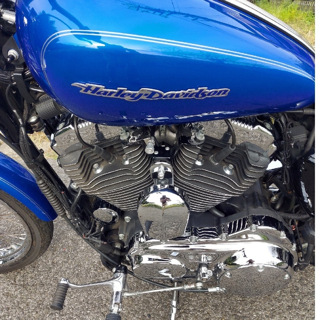 Harley Davidson - ハーレーXL1200cカスタム 車検令6年4月 年式2007年