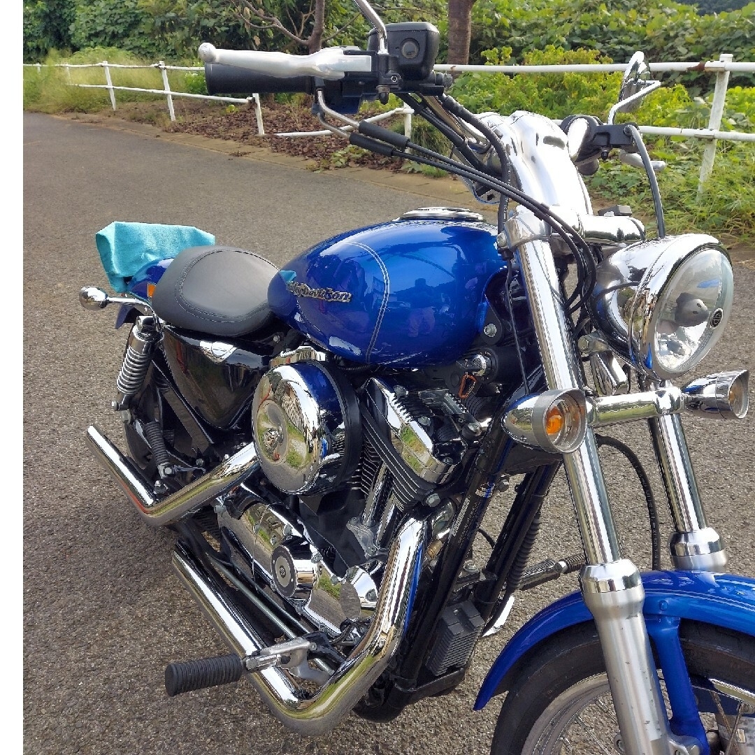 Harley Davidson - ハーレーXL1200cカスタム 車検令6年4月 年式2007年
