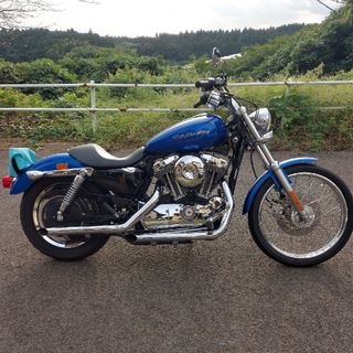 ハーレーダビッドソン(Harley Davidson)のハーレーXL1200cカスタム　車検令6年4月　年式2007年インジェクション車(車体)