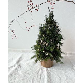 ✳︎new arrival✳︎christmas treeクリスマスツリー(インテリア雑貨)