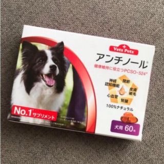 新品犬用アンチノール60粒入サプリメント健康管理健康維持シニア犬皮膚腎臓肝臓関節(犬)