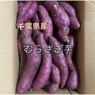 むらさき芋　千葉県産　箱含む5kg    さつまいも(野菜)