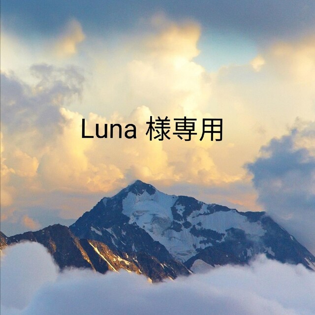 Luna 様専用