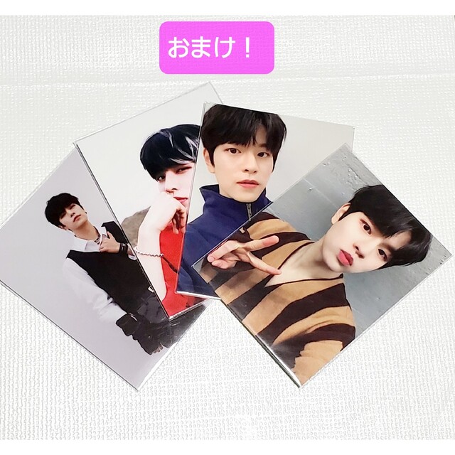 誠実 『商品追加』straykids スンミン まとめ売り | www.tegdarco.com