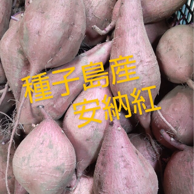 種子島産　安納紅ミニ・2S混合３キロ 食品/飲料/酒の食品(野菜)の商品写真