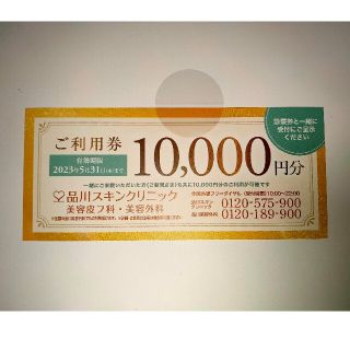 品川スキンクリニック ご利用券 10000円分(その他)