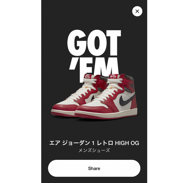 Nike Air Jordan 1 High OG chicago 30cm注意事項