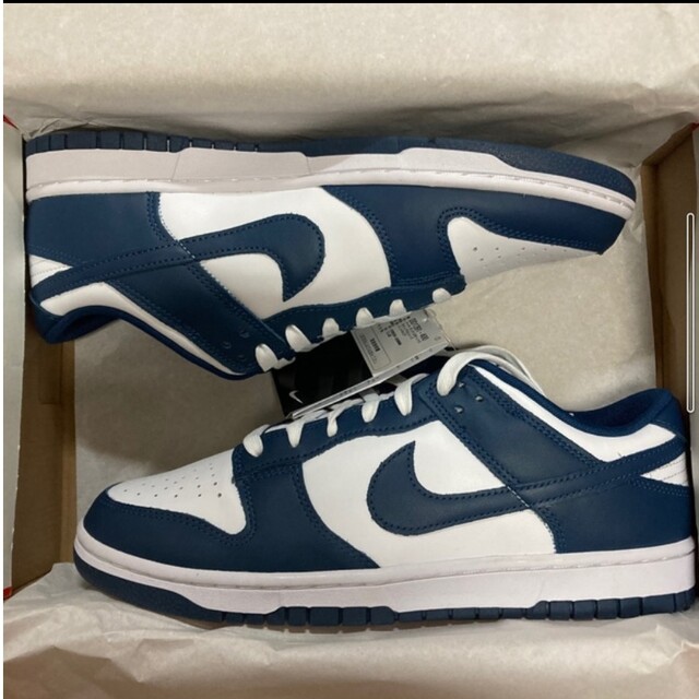 NIKE ダンクロー バレリアンブルー 27.5cm | www.jarussi.com.br
