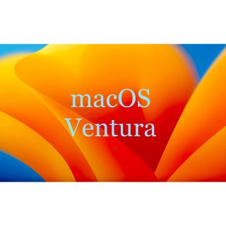 【高速】 Mac OS Ventura & Monterey インストールUSB(PC周辺機器)