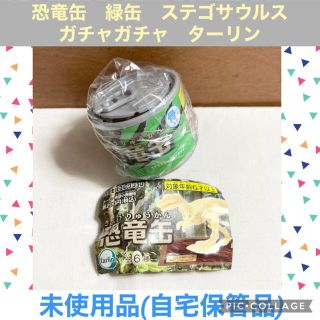 エポック(EPOCH)の恐竜缶　緑缶　ステゴサウルス　イエロー　ガチャガチャ　ミニチュア　フィギュア(キャラクターグッズ)