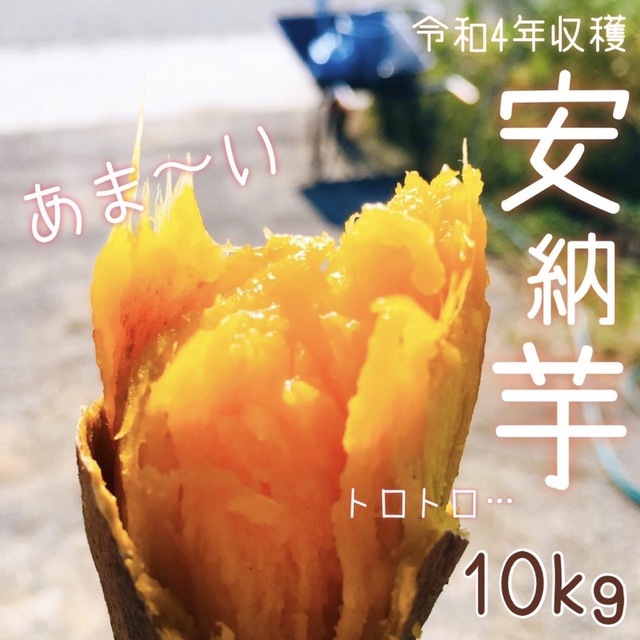 【10kg】倉敷安納芋 新物 さつまい【栽培期間農薬不使用】