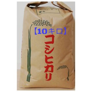 【季節限定品】精米10kg【コシヒカリ】 格安訳あり4年産新米   (米/穀物)