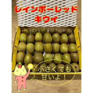 和歌山県産レインボーレッドキウイ☆小粒〜小玉サイズ☆正味1kg《未完熟品》(フルーツ)