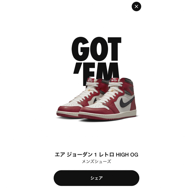 NIKE AIR JORDAN 1  RETRO HIGH OG 27.5cm靴/シューズ