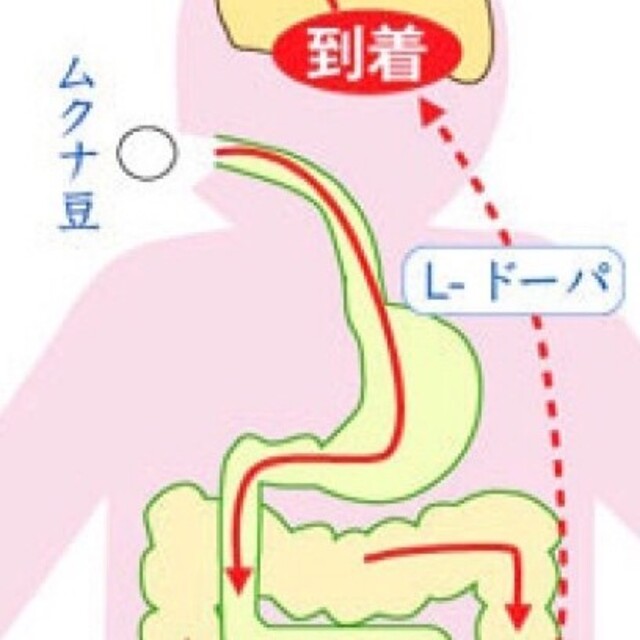 まみちゃん様専用出品 食品/飲料/酒の加工食品(豆腐/豆製品)の商品写真