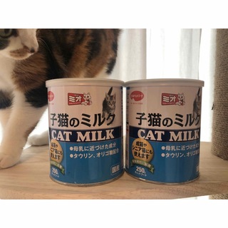 ニホンペットフード(日本ペットフード)のミオ　子猫のミルク　250g 2缶セット(ペットフード)