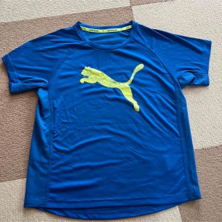 プーマ(PUMA)のPUMA 半袖 サッカー (ウェア)