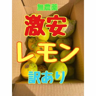 無農薬　レモン　農家直送　国産　岡山県産　訳あり 2.5キロ 防腐剤不使用　(フルーツ)