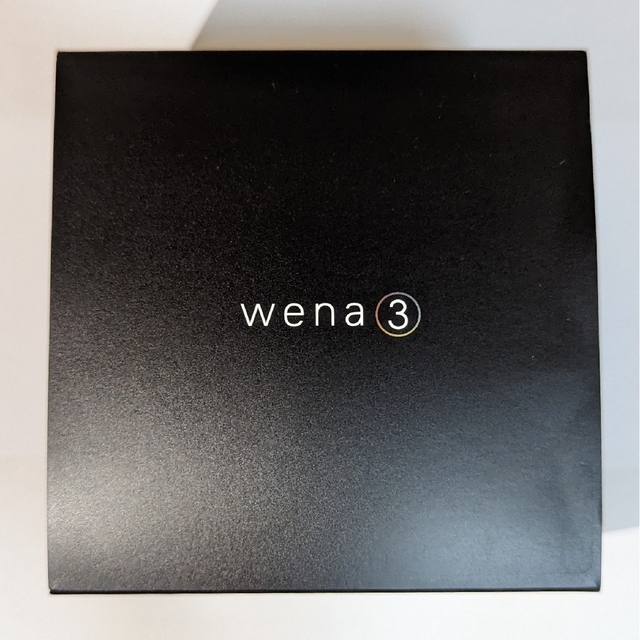 SONY(ソニー)のwena 3  leather Premium Black メンズの時計(腕時計(デジタル))の商品写真
