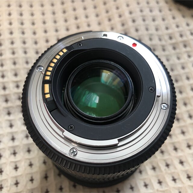 【おまけ付】Canon EOS 80D + SIGMA f2.8 17-50mm