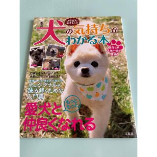 タカラジマシャ(宝島社)の犬の気持ちがわかる本(その他)