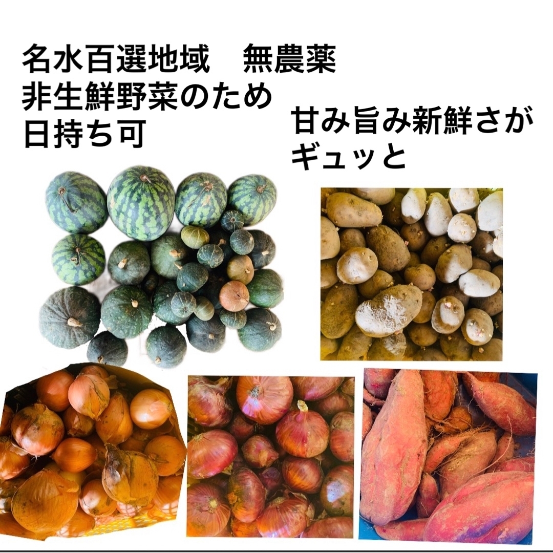 随時更新　ブランド野菜　野菜いろいろ　甘み旨み水水しさがギュッ 食品/飲料/酒の食品(野菜)の商品写真