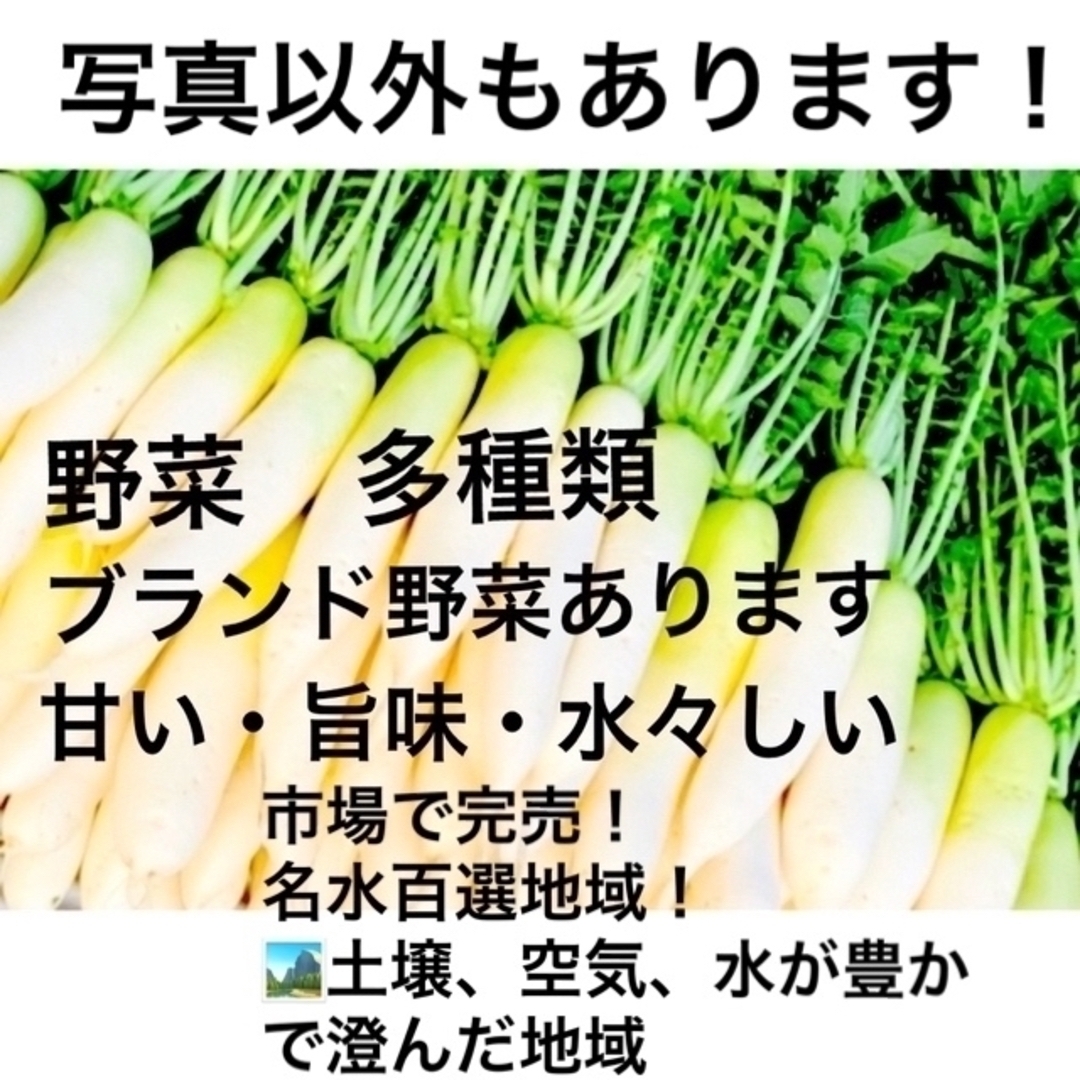 随時更新　ブランド野菜　野菜いろいろ　甘み旨み水水しさがギュッ 食品/飲料/酒の食品(野菜)の商品写真