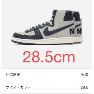 ナイキ(NIKE)のナイキ ターミネーター ジョージタウン 28.5(スニーカー)