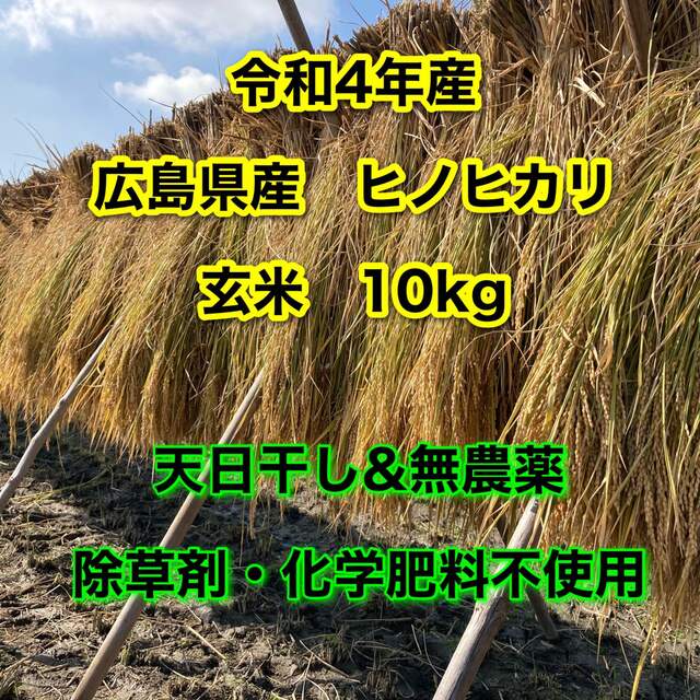 玄米10kg　無農薬　天日干し　米/穀物