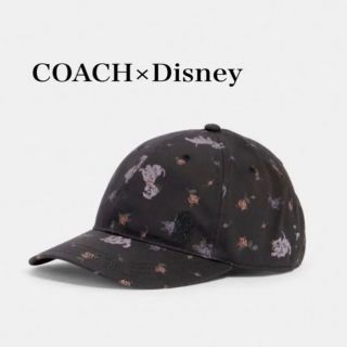 コーチ(COACH)のCOACH コーチ キャップ ディズニーコラボ 101匹わんちゃん(キャップ)