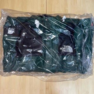 シュプリーム(Supreme)のMサイズ　Supreme TNF mountain leather jacket(マウンテンパーカー)