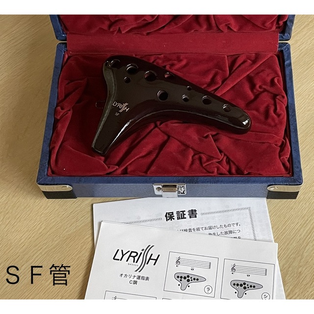トトロ♪さん専用】オカリナ ライリッシュ マエストロ AF管 eva.gov.co