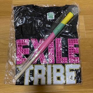 エグザイル トライブ(EXILE TRIBE)のおまけ付き！2012 TOWER OF WISHグッズ2点セット(ミュージシャン)