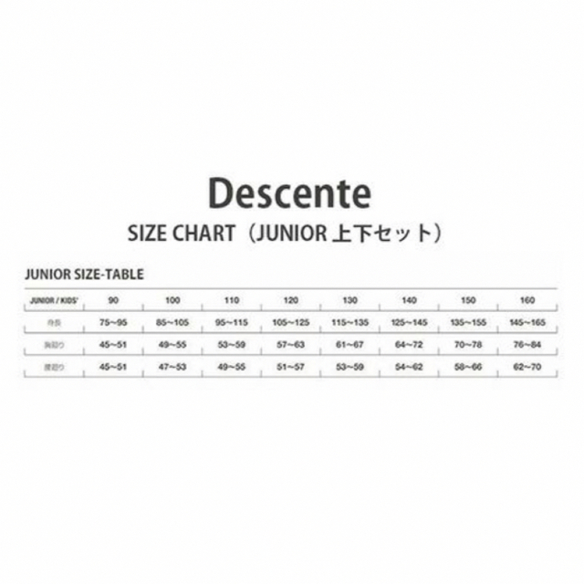 DESCENTE - 【DESCENTE (デサント)】スキーウェア上下セット ジュニア